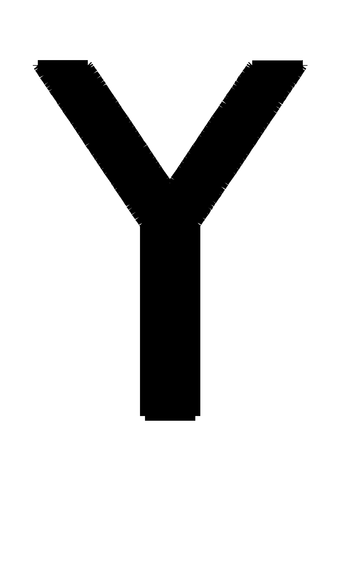 Y
